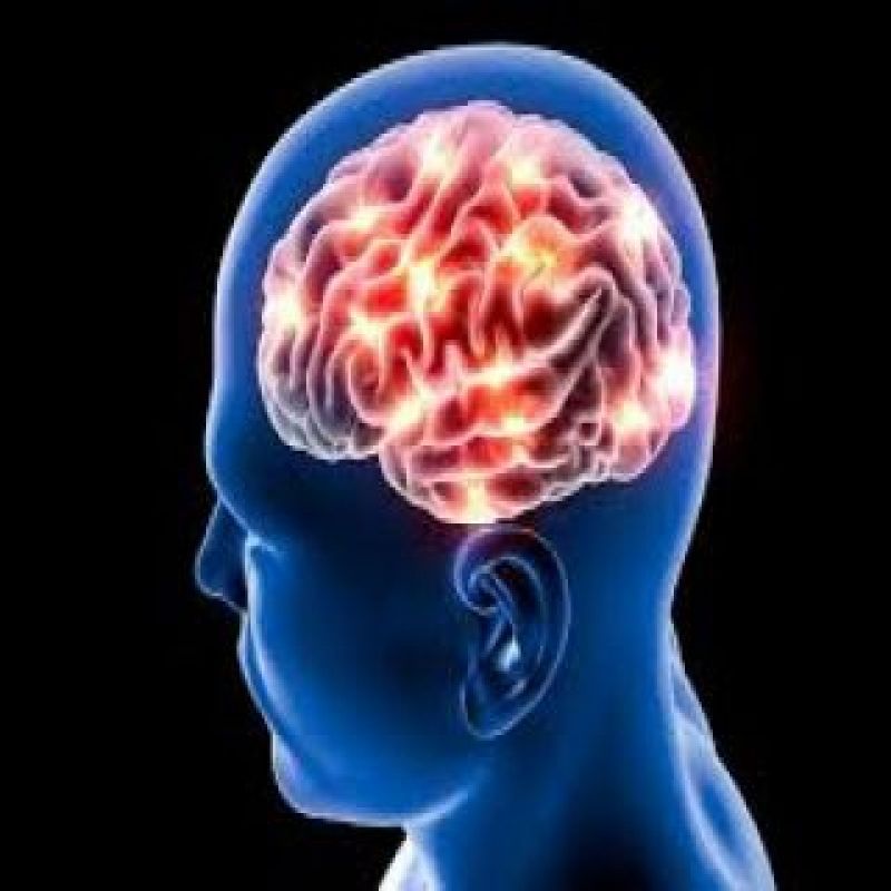 Cerebro judío