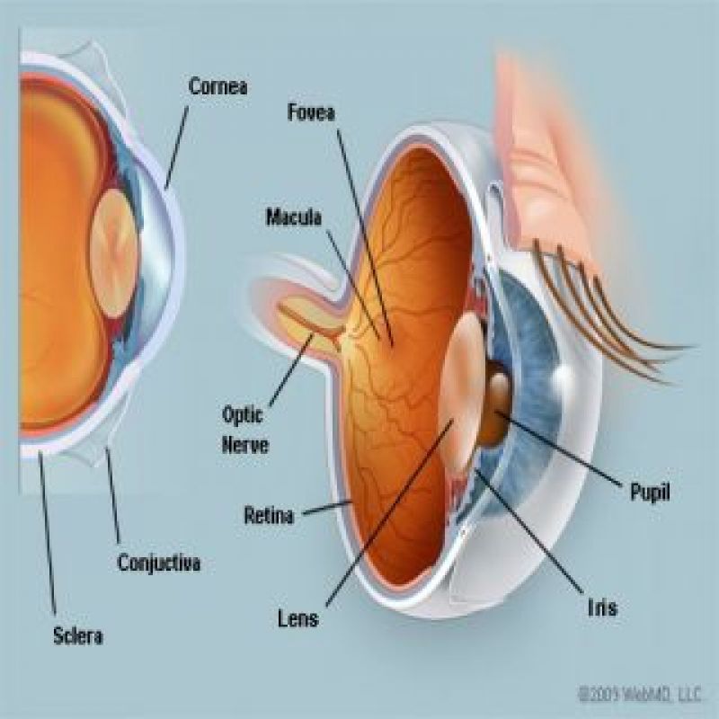 Poder de los ojos